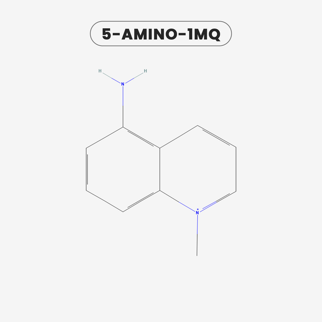 5 AMINO 1MQ — chemical structure