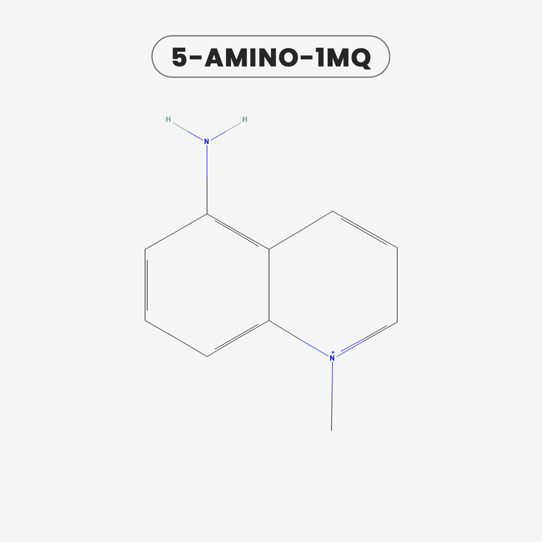 5 AMINO 1MQ — chemical structure